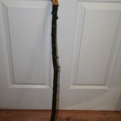 Walking stick