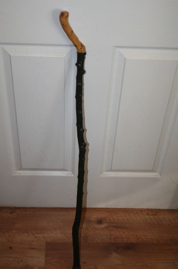 Walking stick