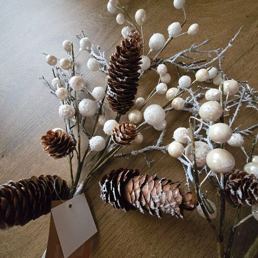 Christmas stems from The Range