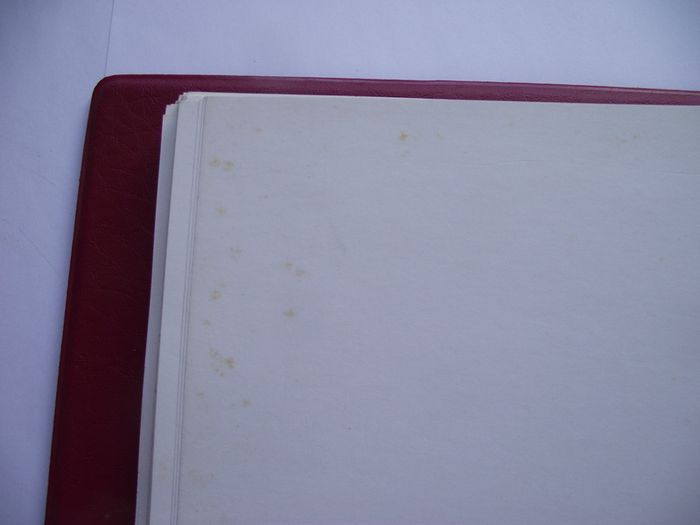 The Stamps of Canada-Loose Leaf Album in binder by Stanley Gibbons