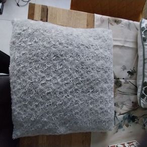 Cushions x 2