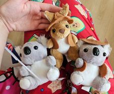 Free Koalas and Kangeroo Plush Teddy Bears Soft Toys