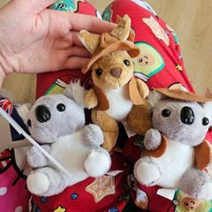 Free Koalas and Kangeroo Plush Teddy Bears Soft Toys
