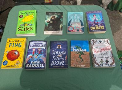 Teen books.
