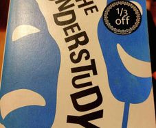 The Understudy.  David Nicholls. Most books four for Ten Euro