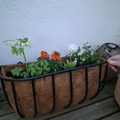hanging flower basket