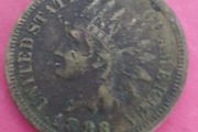 1886 American Indian head One Cent coin
