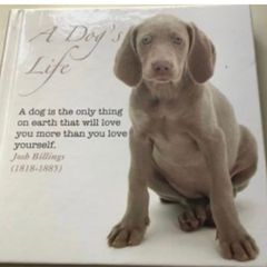 A Dogs Life