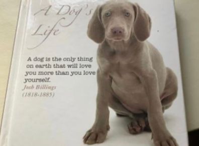 A Dogs Life