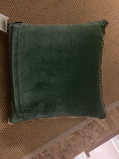Robin Christmas cushion
