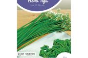 HT Chinese Garlic Chives Seeds 1g | Sow March - August