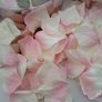 Artificial petals Image 2