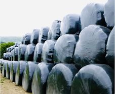 Silage Bales