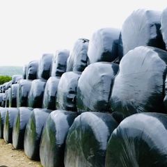 Silage Bales