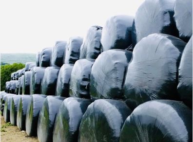 Silage Bales