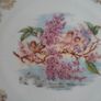 Vintage Porcelain Wall or Cabinet Plate Image 2