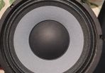 Eminence 10 inch Bass speakers