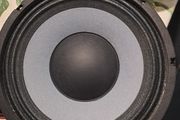Eminence 10 inch Bass speakers