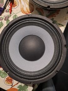Eminence 10 inch Bass speakers