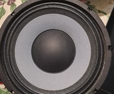 Eminence 10 inch Bass speakers