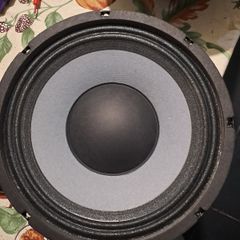 Eminence 10 inch Bass speakers