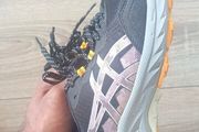women shoe