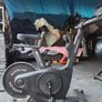 Echelon' bike and rower Image 6
