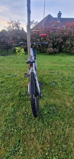 ebike