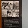 Migration. Sebastiao Salgado. Aperture. Fabolous First Edition Large Volume Book In Very Good Condition. Complete with Exebition  catalogue from his Cork exhibition. 432 pages. Image 6