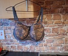 bra