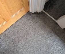 carpet