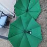 2 new Umbrella Image 2
