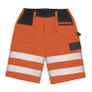 Mens Shorts Image 2