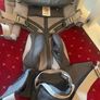 Ergo Baby carrier Image 2