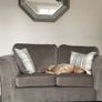 Large Gold Wall hanging Mirror Image 2