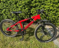 Kids Rockrider 20" ST900 mountain bike