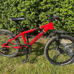 Kids Rockrider 20" ST900 mountain bike