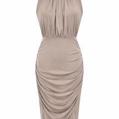 AX Ruched High Neck Dress
