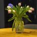 Eleanordeegan