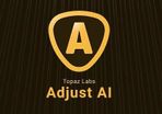 Topaz Adjust AI 2024 - Lifetime Activation
