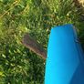 Islander Salsa Tandem 14 Foot Sit-In Kayak with drop down skeg Image 6