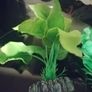 Decorations for Fish Tank Image 5