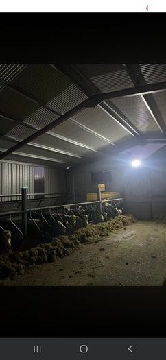 Solar lights and LED Floodlighting