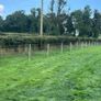 Fencing contractor Image 7