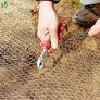 Chicken Wire Mesh Roll, PVC Coated Hexagonal Wire Mesh Fencing, Wire Poultry Netting, 1m x 25m, Hole Size: 25mm, Green Image 4