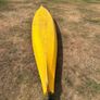 Sea Kayak - Necky Image 4