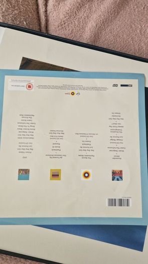 The Chemical Brothers Surrender Limited Edition Anniversary Album Vinyls
