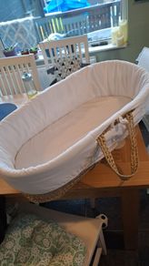 Moses Basket