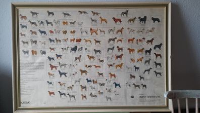 Dog Poster