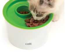 Cat  Feeder and bowls